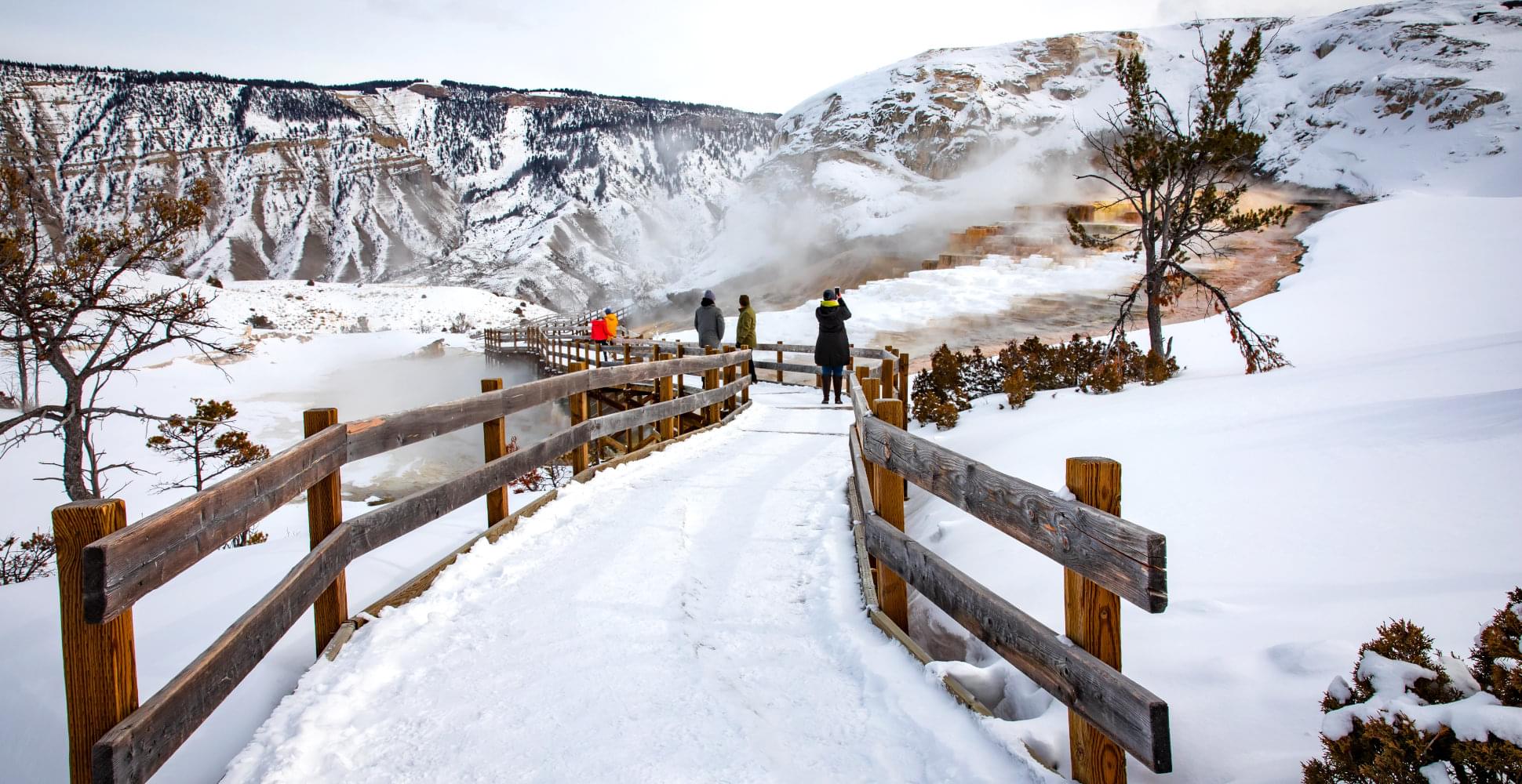 Mammoth Hot Springs