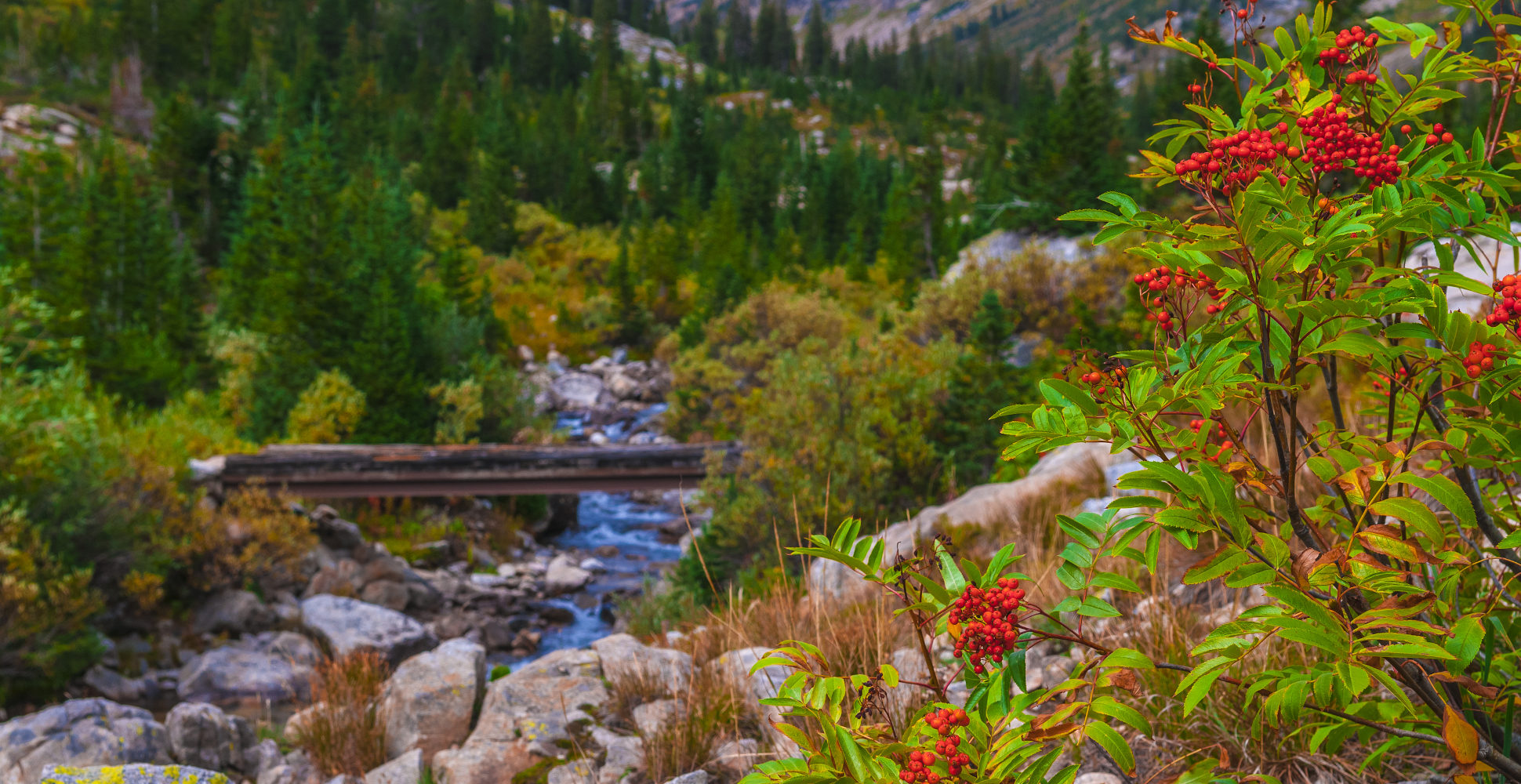 Cascade Canyon, Grand Teton National Park