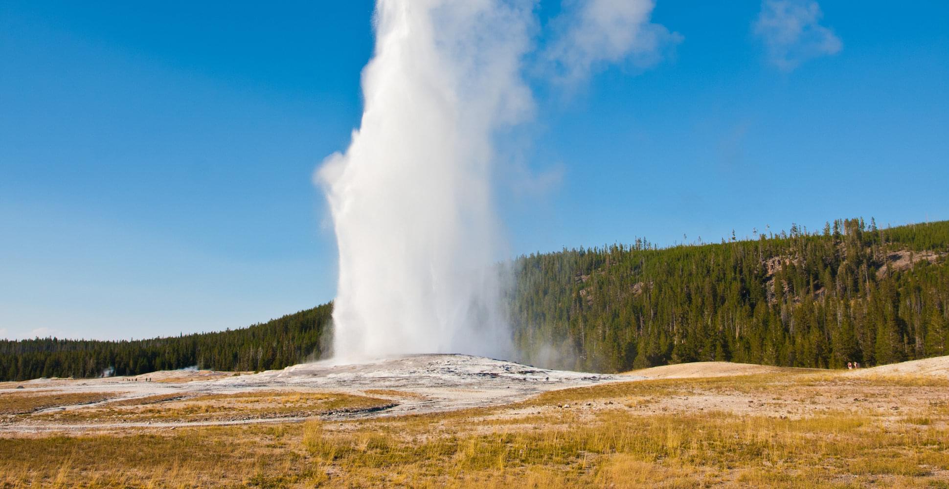 Old Faithful Geyser in Yellowstone National Park