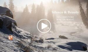 winter wonderland dreamy photo of yellowstone national park in the winter via off the beaten path travel company