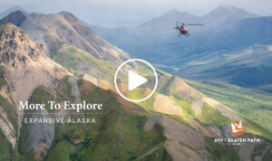 view of denali with helicoptor soaring over the national park during a tour of national parks of alaska by off the beaten path travel company
