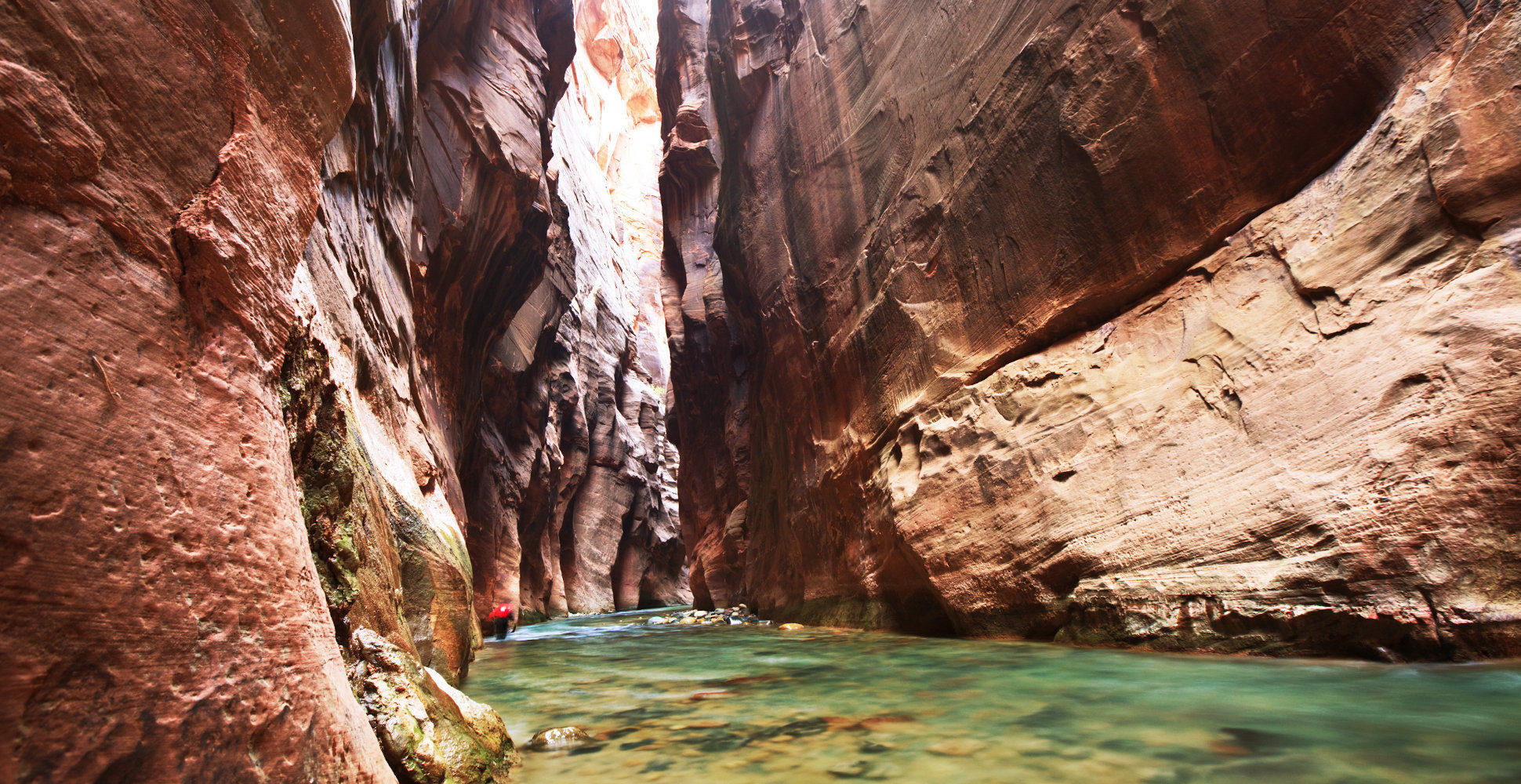 The Narrows, Zion National Park