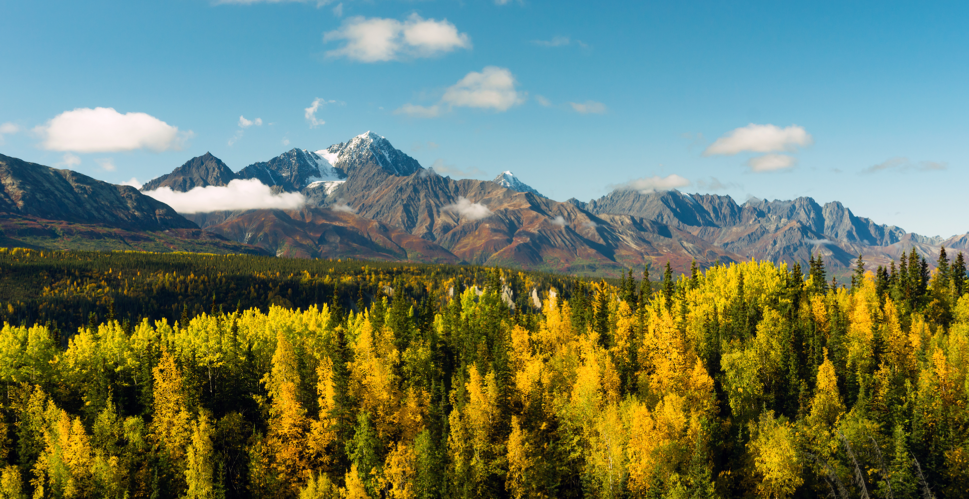 Chugach National Forest, Kenai Peninsula