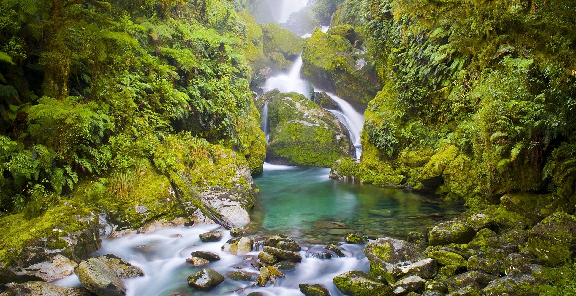 Mackay Falls, Milford Track