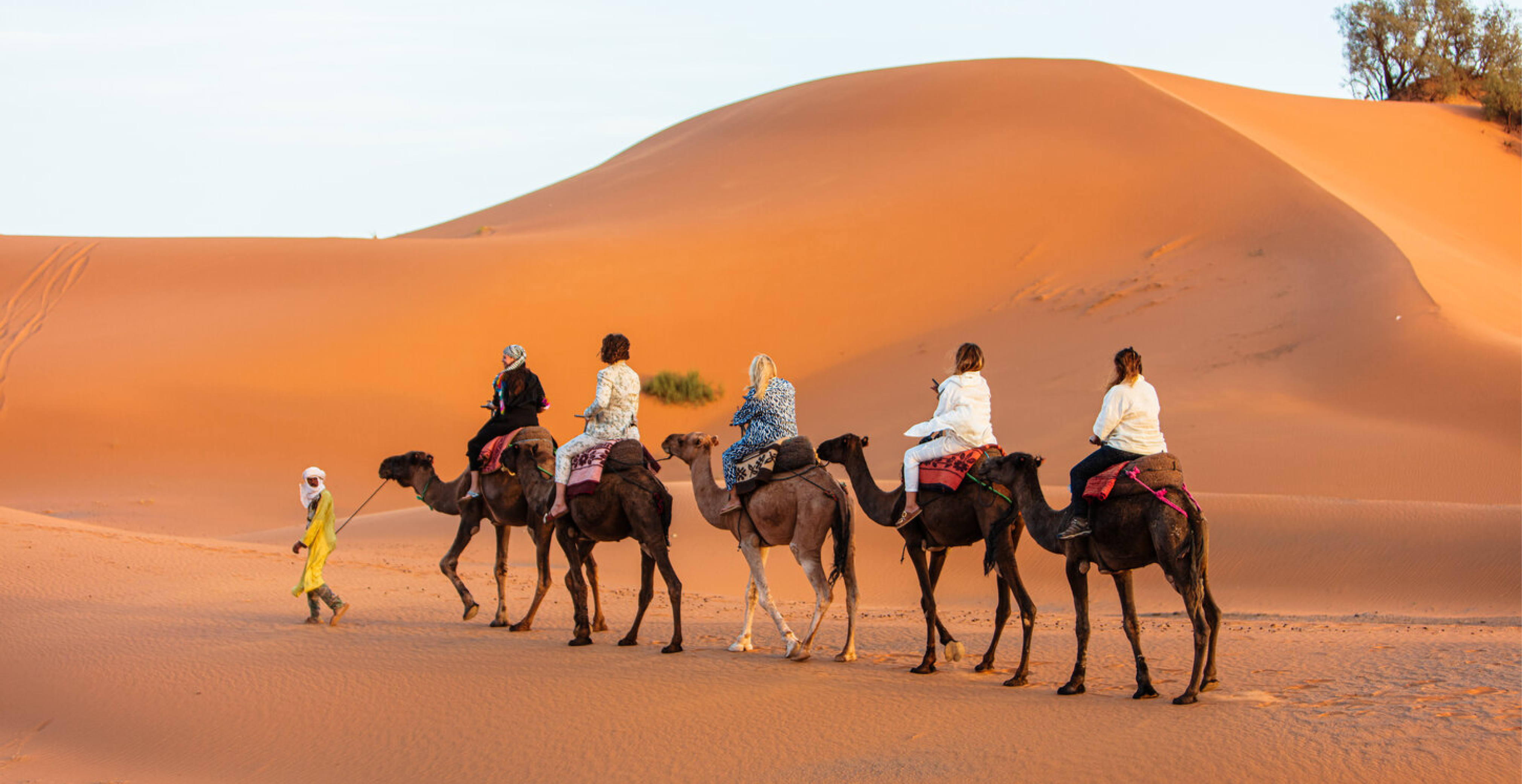 Erg Chebbi Camel Ride
