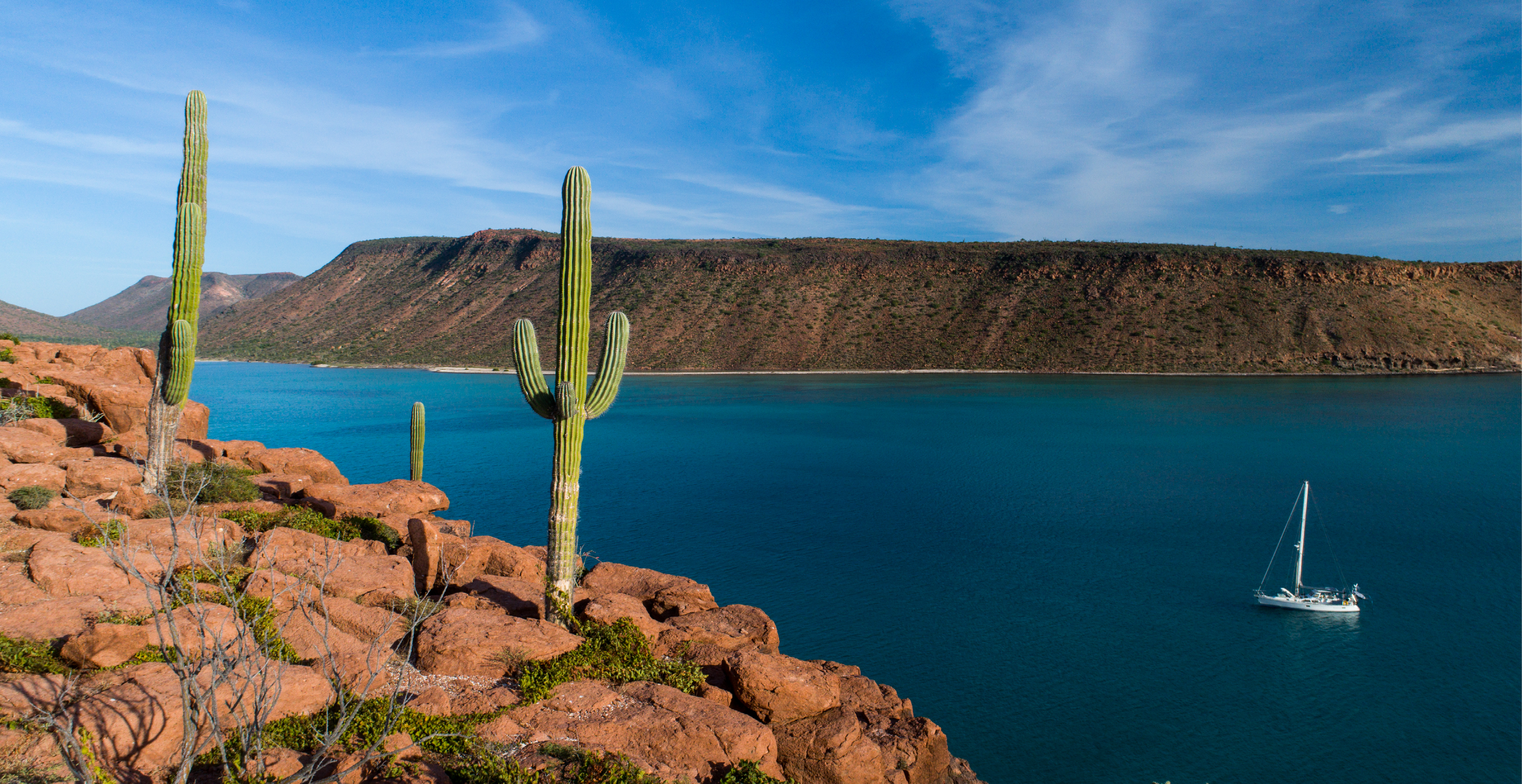 Beautiful Espiritu Santo Island
