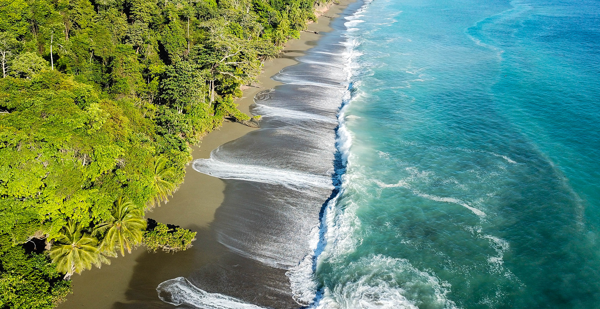 Costa-Rica-Region-Web_0000_Coastline-Nature-Park_Corcavado_Osa-Peninsula_shutterstock_1418241779