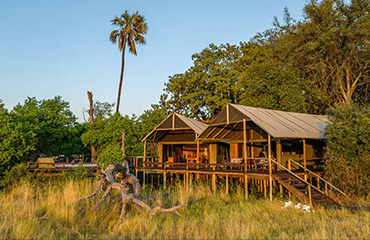 Mokolwane Tree House Camp